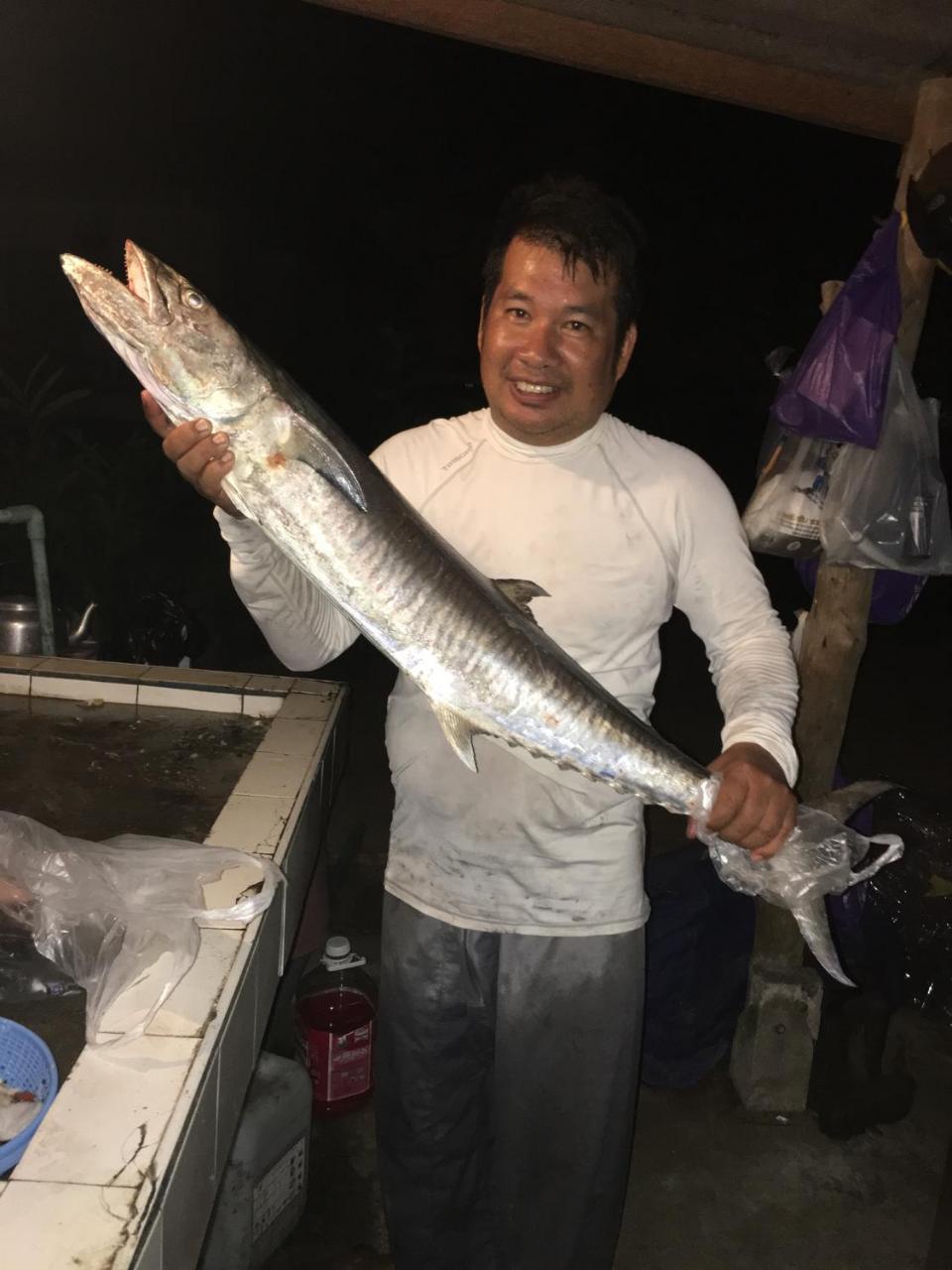 蓝莲花度假酒店 度假村 帕岸岛